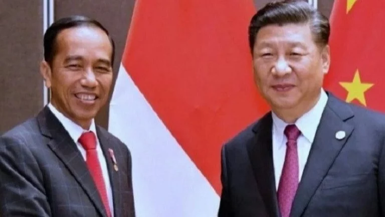 Xi-Jinping-y-Joko-Widodo
