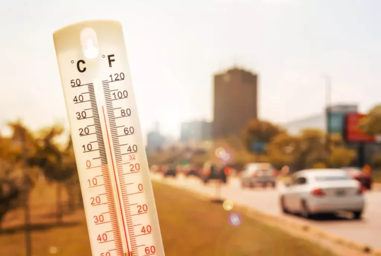 elementos-coche-afectados-calor-1024x689-1