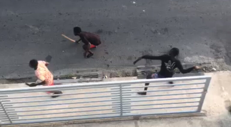 haitianos222