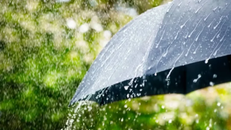 fuertes-lluvias-e-intenso-calor-habra-este-domingo-en-mexico-istock