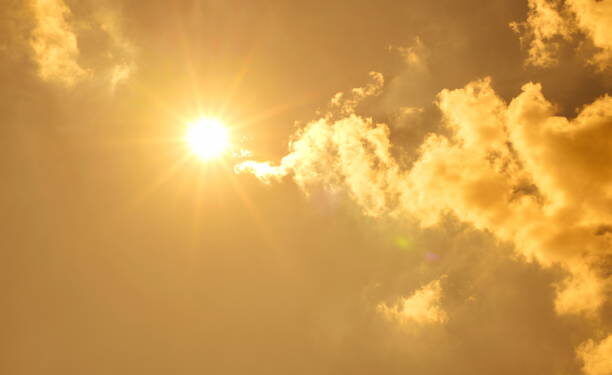 istockphoto-1254065595-612x612-1-612x375