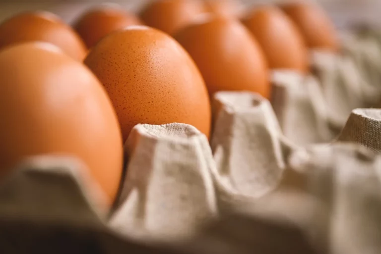 egg-gf671ec2b8_1920