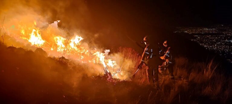 El-pais-reporto-160-incendios-entre-junio-y-noviembre-en-todo-el-territorio