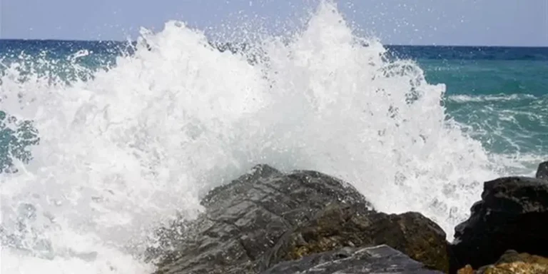 201911021421571-1140x570