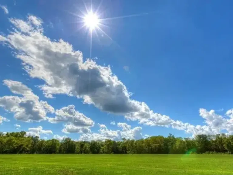 CIELO