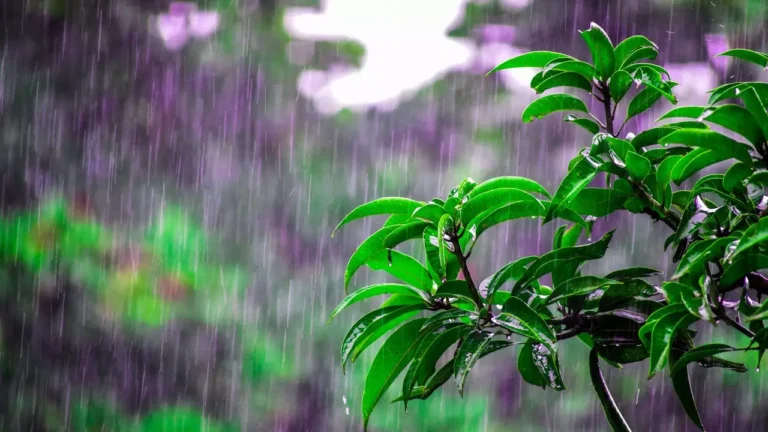 ONAMET-pronosticqa-lluvias-este-sabado-23