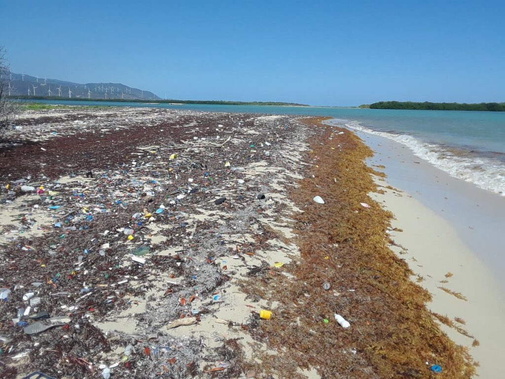 Sargazo-en-las-playas-de-Republica-Dominicana