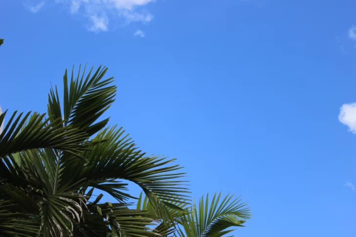 Cielo-clima2-728x485