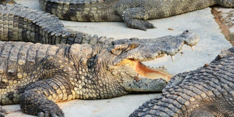 Copia-de-Portada-Pagina-WEB-1-20-1140x570