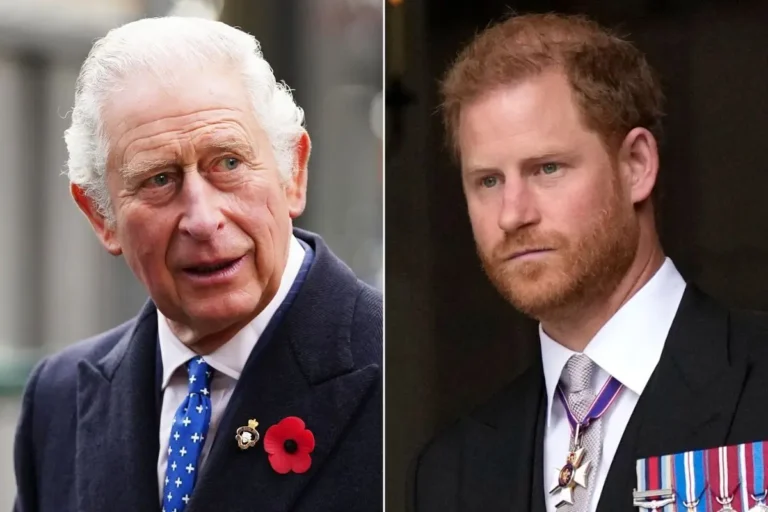 WhatsApp-Image-2024-05-12-at-9.01.59-AM-1