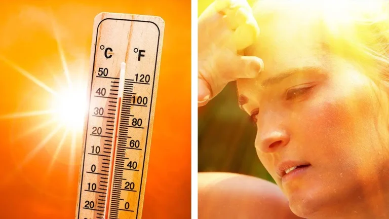 calor-t