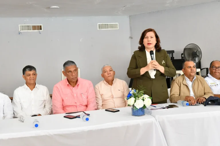 Mesa-de-Seguridad-SDO-MIP-Julio-2024-2