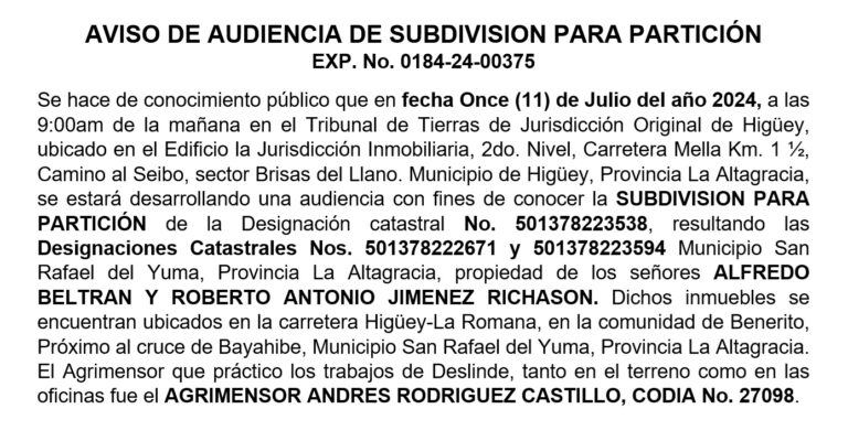 audiencia subdivision