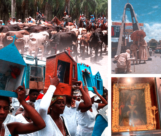 PORTADA-HIGUEY-2
