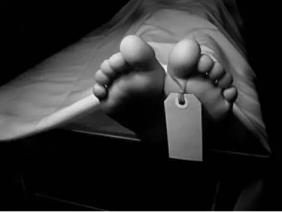 morgue-1.jpg