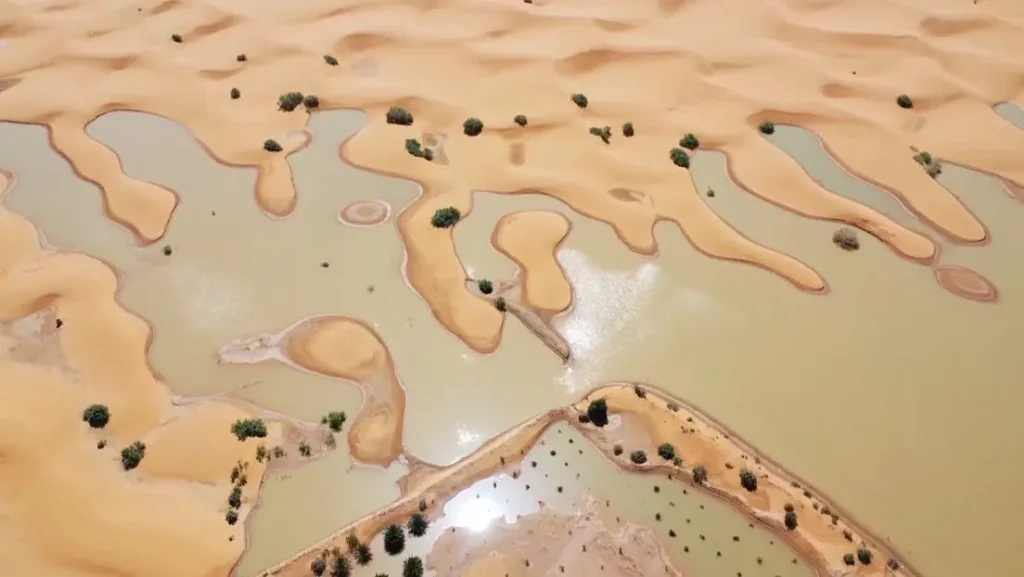 670e85e5d4d27_fotos-de-las-inundaciones-en-el-desierto-del-sahara-2.jpg