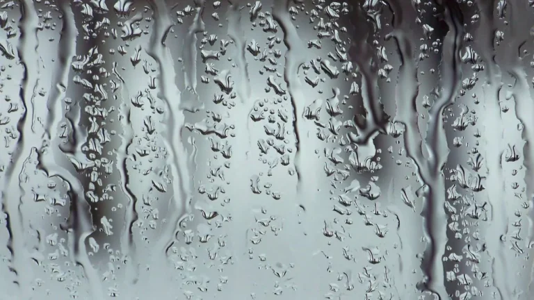 Lluvia-imagen-ilustrativa.-Foto-fuente-externa.