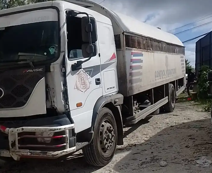 CAMIONS