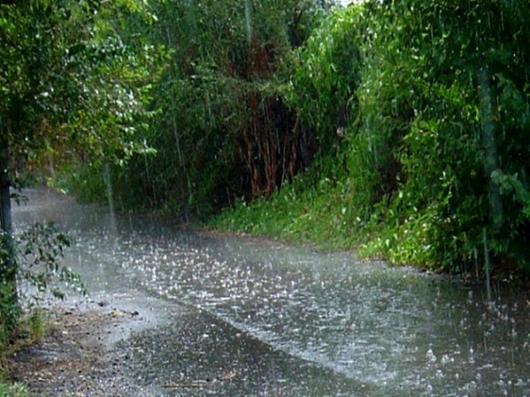 lluvia-768x576