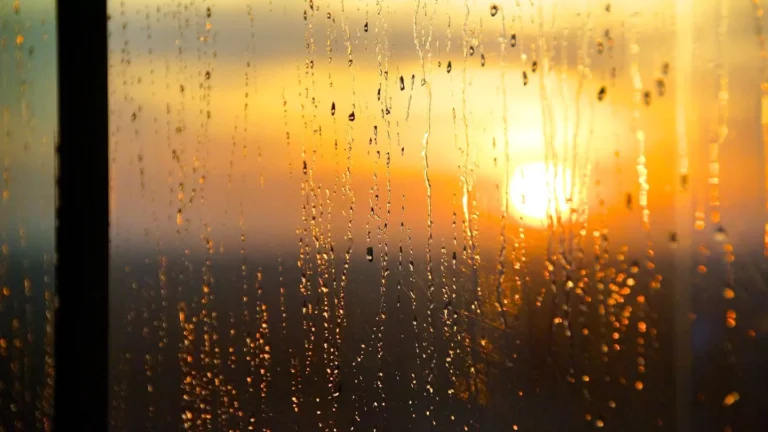 amanecer-lluvioso