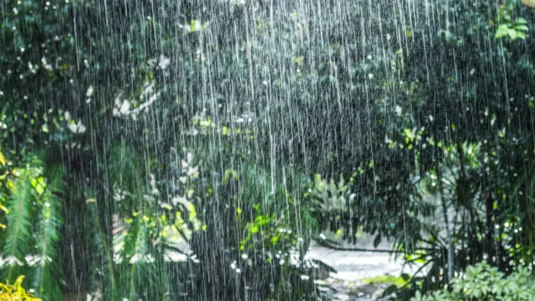 tormenta-tropical-erin-aguaceros-y-tormentas-en-pronostico-del-tiempo-bfecdcf1-focus-0-0-1200-675
