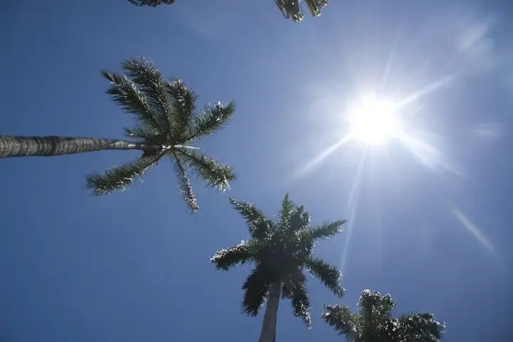 Dia-Soleado-1