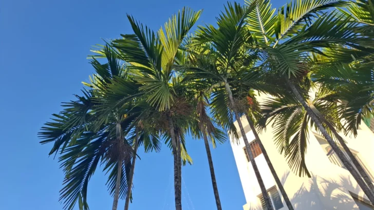 Soleado-y-caluroso-en-Santo-Domingo-728x409
