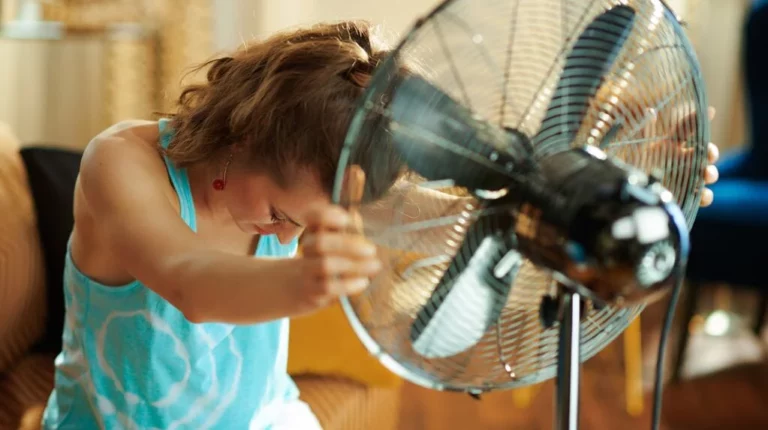 calor-768x430
