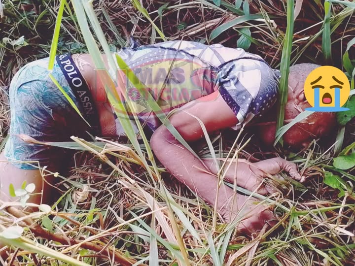 561538174_1393763602306812_652566968680323196_n