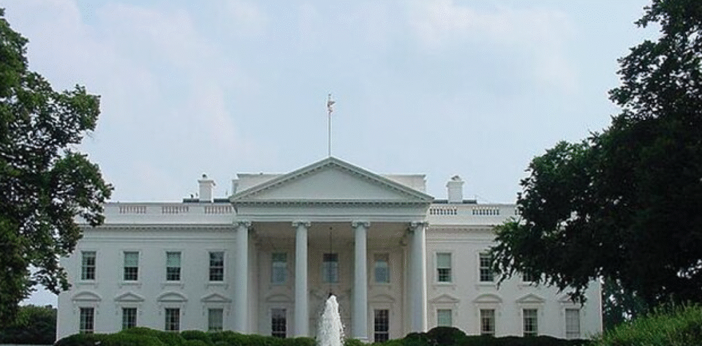 69169d7373313.r_d.272-193-19355