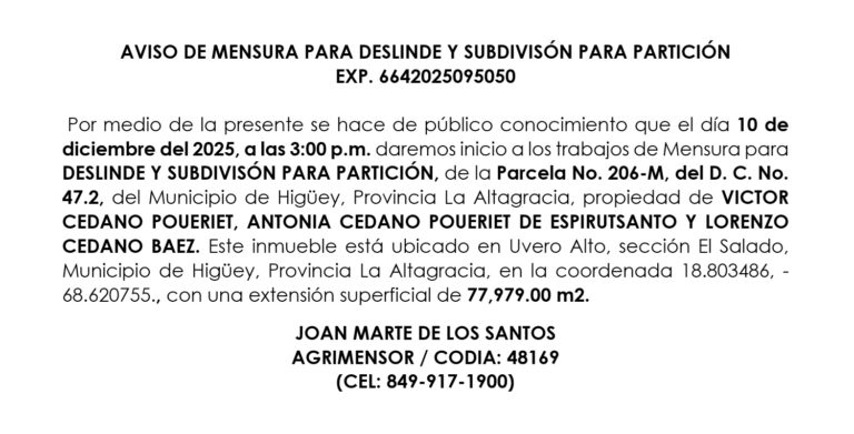 PUBLICACION 07 VICTOR