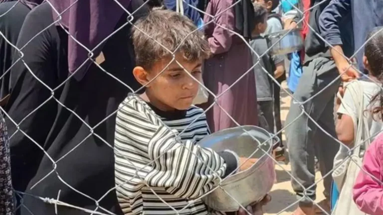 noticiassin--13-c8272b4a-focus-0-0-1200-675