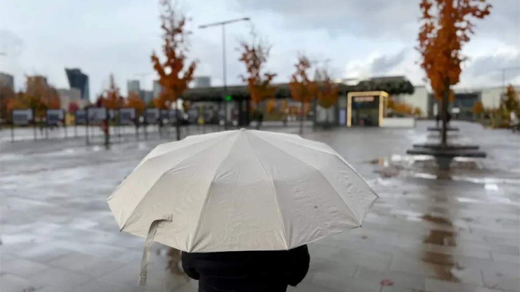 noticiassin--29-8354bdc9-focus-0-0-1200-675