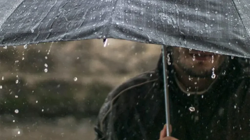 noticiassin--40-08d02840-focus-0-0-1200-675