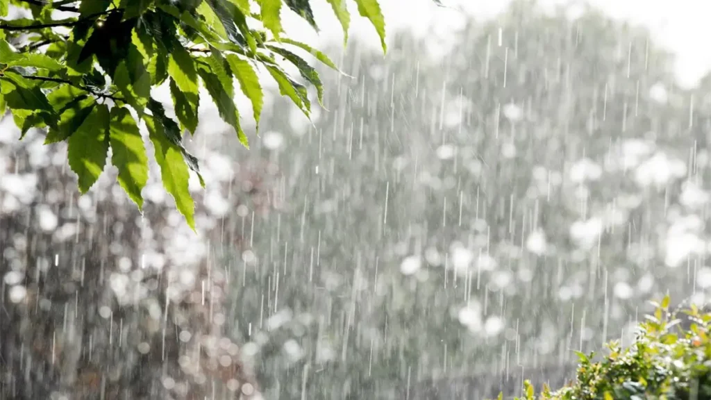 noticiassin--51-0b3179fc-focus-0-0-1200-675