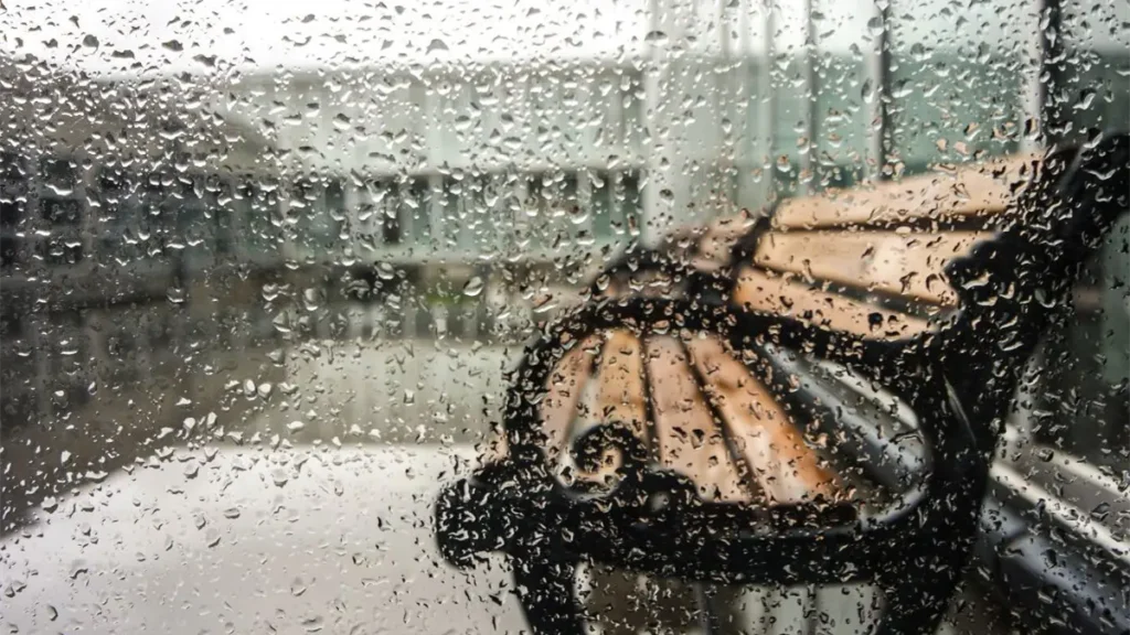 noticiassin--59-5fb50f2f-focus-0-0-1200-675