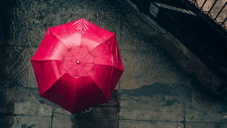 noticiassinweb-12-ee0d3c08-focus-0-0-1200-675