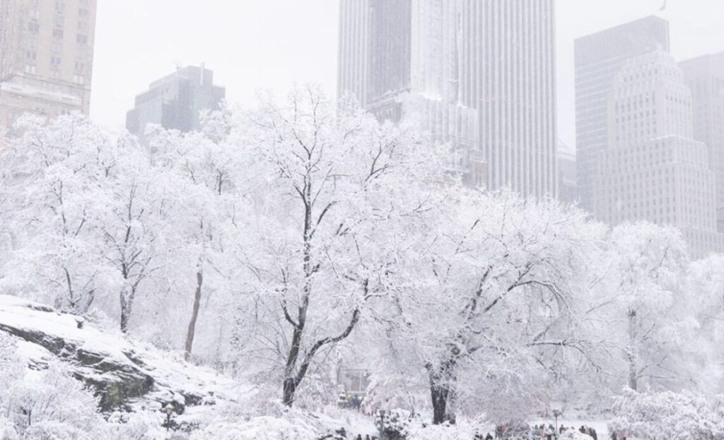 WhatsApp-Image-2025-12-14-at-4.39.26-PM-1140x694