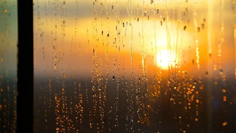 noticiassin--43-192e53bc-focus-0-0-1200-675