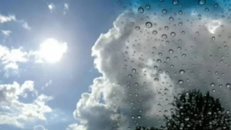 noticiassinweb-11-8113ddc6-focus-0-0-1200-675