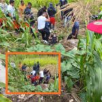 635744073_1465464365136735_8433304621937132566_n