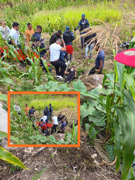 635744073_1465464365136735_8433304621937132566_n