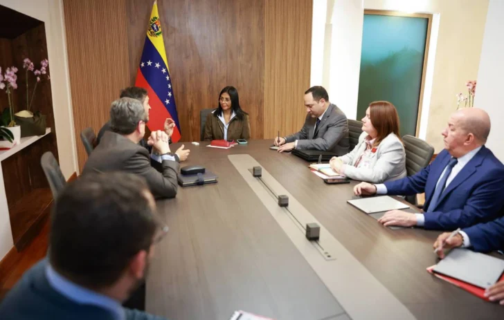 Delcy-Rodriguez-se-reune-con-Repsol-y-Maurel-Prom-tras-reforma-de-hidrocarburos-728x463