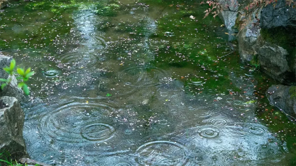 chubascos-dispersos-en-algunas-provincias-del-pais-a9ee0e0e-focus-0-0-1200-675