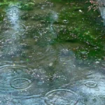 chubascos-dispersos-en-algunas-provincias-del-pais-a9ee0e0e-focus-0-0-1200-675