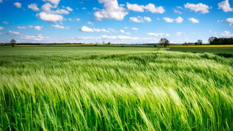 temperaturas-frias-y-rafagas-de-viento-en-gran-parte-del-pais-f1ff0089-focus-0-0-1200-675