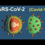virus-SARS-covid-19