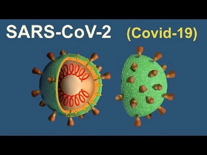 virus-SARS-covid-19