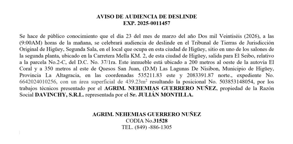 deslinde nehemias-davinchy