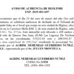 deslinde nehemias-davinchy